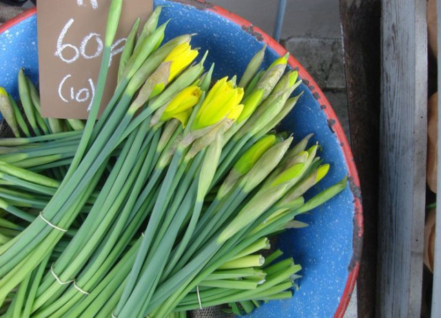 BOBO Flowers St.Leonards on sea